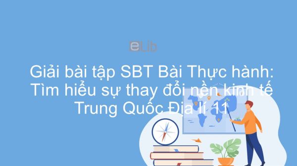 Giải bài tập SBT Địa lí 11 Bài 10: Thực hành: Tìm hiểu sự thay đổi nền kinh tế Trung Quốc