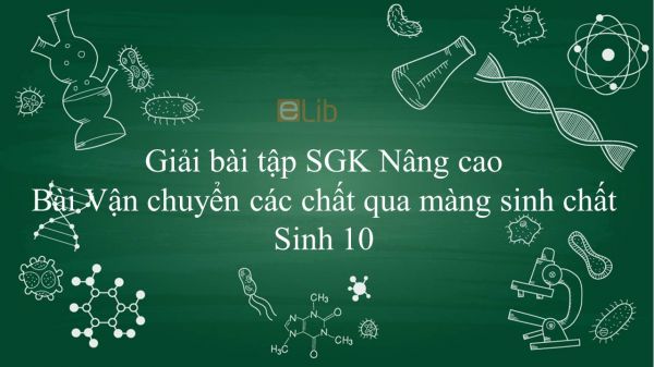 Giải bài tập SGK Sinh học 10 Nâng Cao Bài 18: Vận chuyển các chất qua màng sinh chất