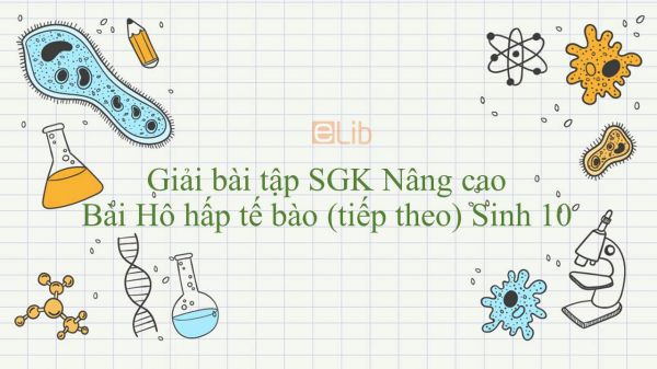 Giải bài tập SGK Sinh học 10 Nâng Cao Bài 24: Hô hấp tế bào (tiếp theo)