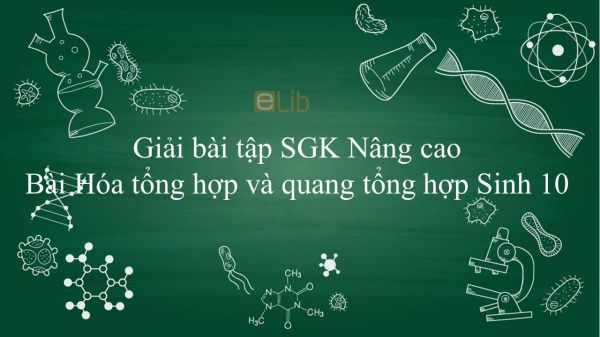 Giải bài tập SGK Sinh học 10 Nâng Cao Bài 25: Hóa tổng hợp và quang tổng hợp