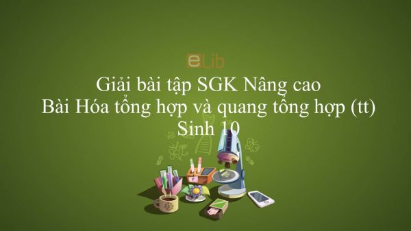 Giải bài tập SGK Sinh học 10 Nâng Cao Bài 26: Hóa tổng hợp và quang tổng hợp (tt)