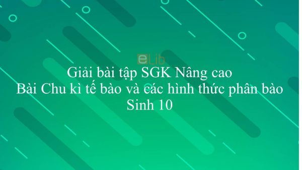 Giải bài tập SGK Sinh học 10 Nâng Cao Bài 28: Chu kì tế bào và các hình thức phân bào