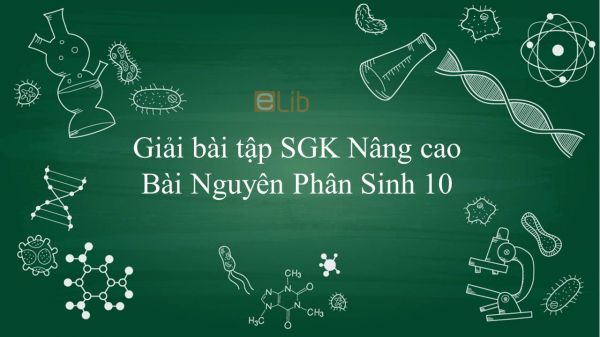 Giải bài tập SGK Sinh học 10 Nâng Cao Bài 29: Nguyên Phân