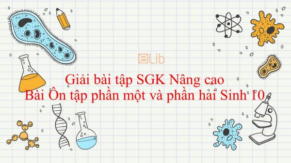 Giải bài tập SGK Sinh học 10 Nâng Cao Bài 32: Ôn tập phần một và phần hai