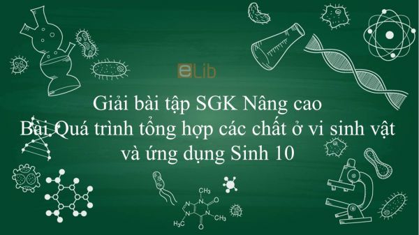 Giải bài tập SGK Sinh học 10 Nâng Cao Bài 34: Quá trình tổng hợp các chất ở vi sinh vật và ứng dụng