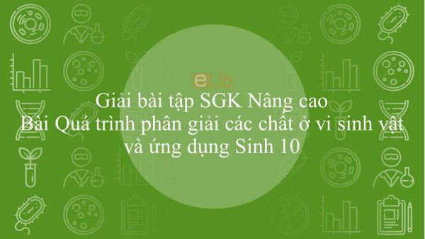 Giải bài tập SGK Sinh học 10 Nâng Cao Bài 35: Quá trình phân giải các chất ở vi sinh vật và ứng dụng