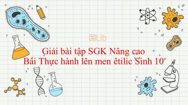 Giải bài tập SGK Sinh học 10 Nâng Cao Bài 36: Thực hành lên men êtilic