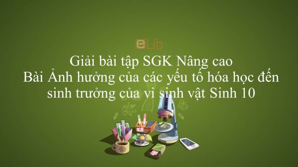 Giải bài tập SGK Sinh học 10 Nâng Cao Bài 40: Ảnh hưởng của các yếu tố hóa học đến sinh trưởng của vi sinh vật