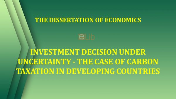Th.D: Investment decision under uncertainty - The case of carbon taxation in developing countries
