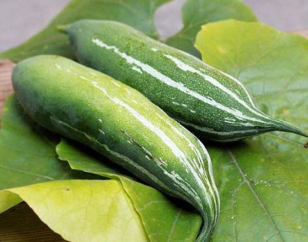 Mướp rừng - Chữa sâu răng và đau răng