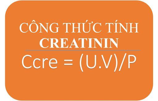 Tính hệ số thanh thải creatinin - Quy trình thực hiện và một số lưu ý cần biết