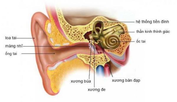 Bệnh viêm dây thần kinh tiền đình - Triệu chứng, nguyên nhân và cách điều trị