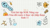 Giải bài tập SGK Sinh học 11 Nâng Cao Bài 2: Trao đổi nước ở thực vật (tiếp theo)