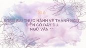 Soạn bài Thực hành về thành ngữ, điển cố Ngữ văn 11 đầy đủ