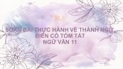 Soạn bài Thực hành về thành ngữ, điển cố Ngữ văn 11 tóm tắt
