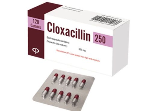 Thuốc Cloxacillin - Điều trị các bệnh nhiễm trùng do vi khuẩn