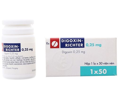 Thuốc Digoxin - Điều trị nhịp tim không đều