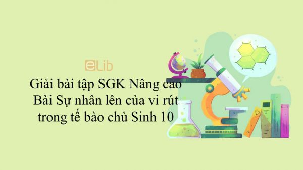 Giải bài tập SGK Sinh học 10 Nâng Cao Bài 44: Sự nhân lên của vi rút trong tế bào chủ