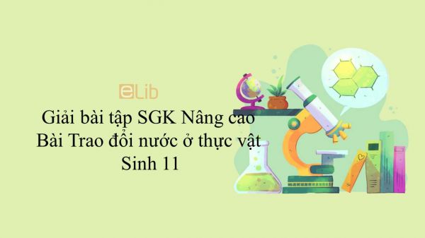 Giải bài tập SGK Sinh học 11 Nâng Cao Bài 1: Trao đổi nước ở thực vật