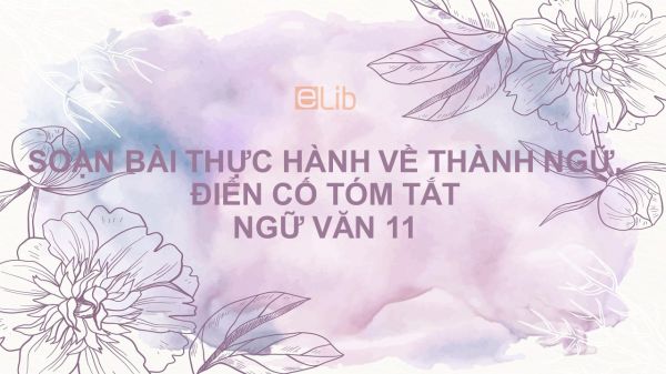 Soạn bài Thực hành về thành ngữ, điển cố Ngữ văn 11 tóm tắt