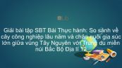 Giải bài tập SBT Địa lí 12 Bài 38:TH: So sánh về cây công nghiệp lâu năm và chăn nuôi gia súc lớn giữa vùng Tây Nguyên với TDMNBB