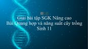 Giải bài tập SGK Sinh học 11 Nâng Cao Bài 10: Quang hợp và năng suất cây trồng