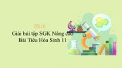 Giải bài tập SGK Sinh học 11 Nâng Cao Bài 15: Tiêu Hóa
