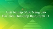 Giải bài tập SGK Sinh học 11 Nâng Cao Bài 16: Tiêu Hóa (tiếp theo)