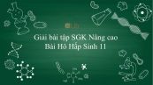 Giải bài tập SGK Sinh học 11 Nâng Cao Bài 17: Hô Hấp