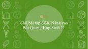 Giải bài tập SGK Sinh học 11 Nâng Cao Bài 7: Quang hợp