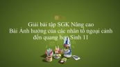 Giải bài tập SGK Sinh học 11 Nâng Cao Bài 9: Ảnh hưởng của các nhân tố ngoại cảnh đến quang hợp