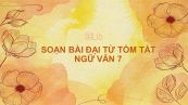 Soạn bài Đại từ Ngữ văn 7 tóm tắt