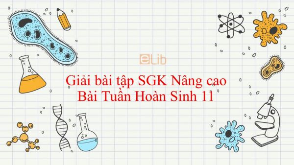 Giải bài tập SGK Sinh học 11 Nâng Cao Bài 18: Tuần Hoàn