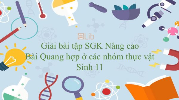 Giải bài tập SGK Sinh học 11 Nâng Cao Bài 8: Quang hợp ở các nhóm thực vật