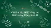 Giải bài tập SGK Sinh học 11 Nâng Cao Bài 23: Hướng động