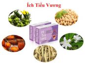 Ích Tiểu Vương - Hỗ trợ điều trị phòng ngừa tiểu nhiều lần, tiểu són