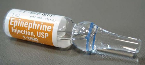 Thuốc Epinephrine - Điều trị các phản ứng dị ứng do côn trùng cắn