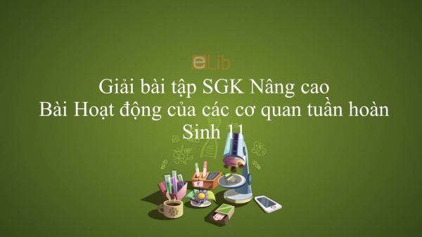 Giải bài tập SGK Sinh học 11 Nâng Cao Bài 19: Hoạt động của các cơ quan tuần hoàn