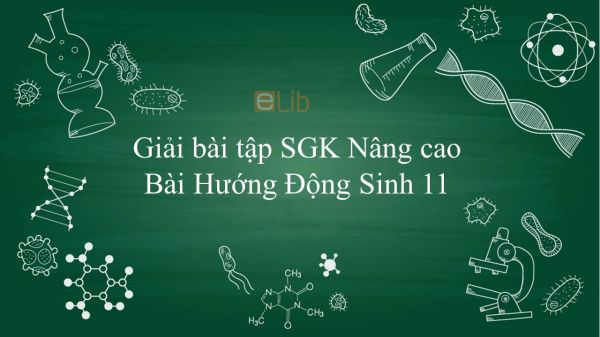 Giải bài tập SGK Sinh học 11 Nâng Cao Bài 23: Hướng động