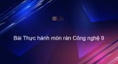 Công nghệ 9 Bài 10: Thực hành món rán