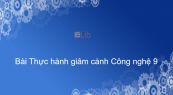 Công nghệ 9 Bài 4: Thực hành giâm cành