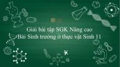 Giải bài tập SGK Sinh học 11 Nâng Cao Bài 34: Sinh trưởng ở thực vật