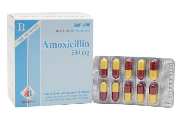 Thuốc Amoxicillin - Điều trị đại trà các bệnh nhiễm khuẩn