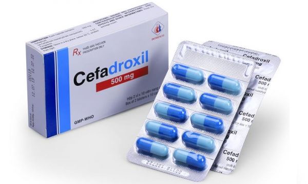 Thuốc Cefadroxil - Điều trị bệnh nhiễm trùng do vi khuẩn
