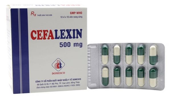 Thuốc Cefalexin - Điều trị nhiều chứng bệnh nhiễm trùng do vi khuẩn