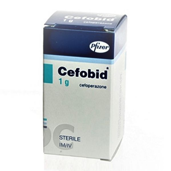 Thuốc Cefobid® - Điều trị các bệnh nhiễm khuẩn