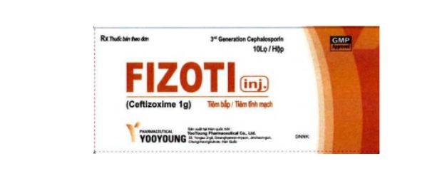 Thuốc Fizoti - Điều trị nhiễm khuẩn đường hô hấp dưới