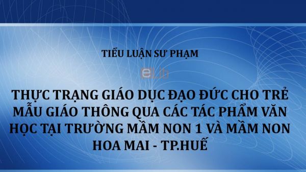 Tiểu luận: Thực trạng giáo dục đạo đức cho trẻ mẫu giáo thông qua các tác phẩm văn học tại trường Mầm non 1 và Mầm non Hoa Mai - TP.Huế