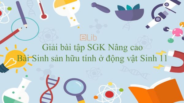 Giải bài tập SGK Sinh học 11 Nâng Cao Bài 45: Sinh sản hữu tính ở động vật