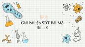 Giải bài tập SBT Sinh học 8 Bài 4: Mô